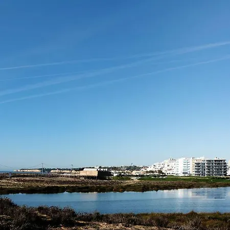 Dlux Terrace Cond Bayline Pool & Apartment