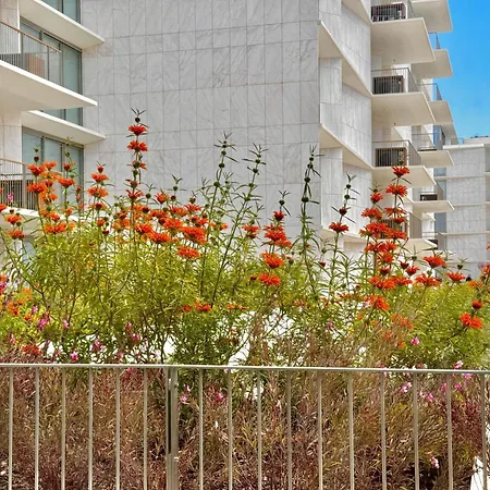 Dlux Terrace Cond Bayline Pool &